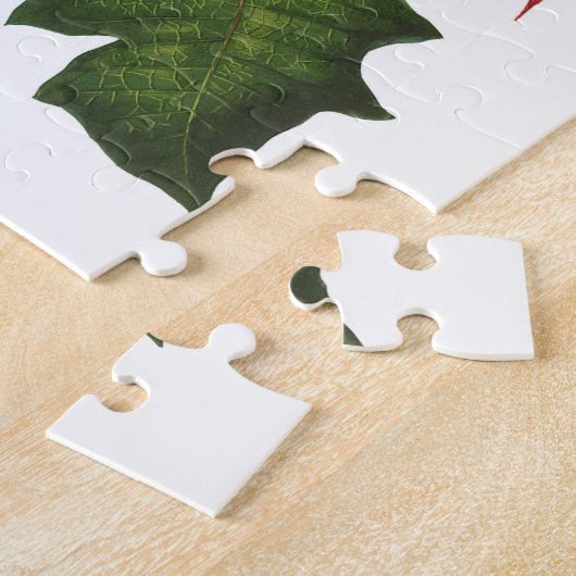 Weihnachten, Winter-Pflanze Red Poinsettia Puzzle (Seite)