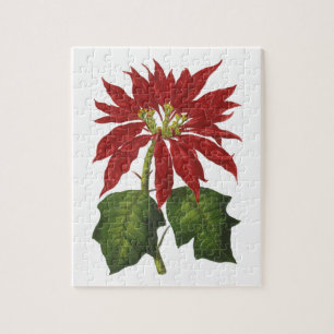 Weihnachten, Winter-Pflanze Red Poinsettia Puzzle