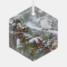 Weihnachten Winter Schneefink
