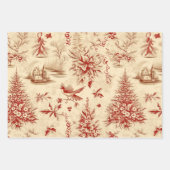 Weihnachten Wintervögel Rustikale Decoupage Vintag Geschenkpapier Set (Vorderseite 3)