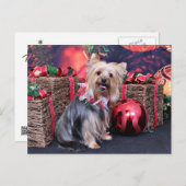 Weihnachten - Yorkie - Abby (Vorne/Hinten)