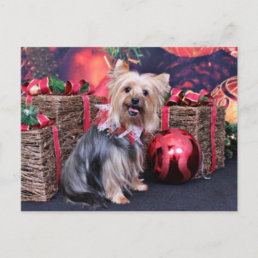 Weihnachten - Yorkie - Abby (Vorderseite)