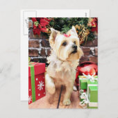 Weihnachten - Yorkie - Dorie (Vorne/Hinten)