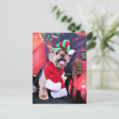 Weihnachten - Yorkie - Jake (Stehend Vorderseite)