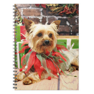 Weihnachten - Yorkie - Kinsey Notizblock