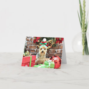 Weihnachten - Yorkie - Vinnie #32