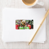 Weihnachten - Yorkie - Willie Adressaufkleber (Insitu)