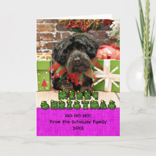 Weihnachten - YorkiePoo - Hannah