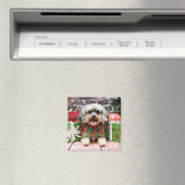 Weihnachten - YorkiPoo - Oliver Magnet (In Situ (Geschirrspüler))