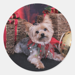 Weihnachten - Yorkshire Terrier - Vinnie Runder Aufkleber