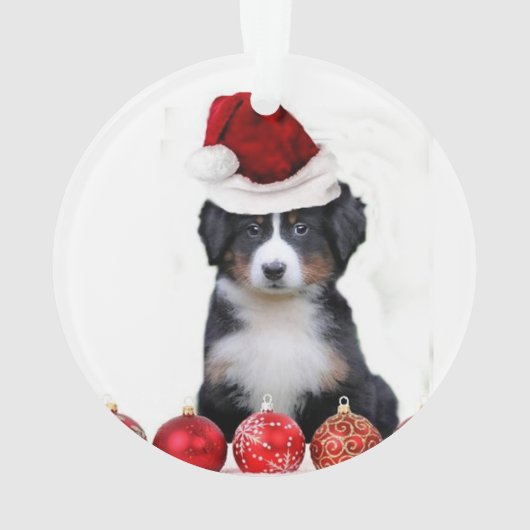 WeihnachtenBernese Gebirgshund Ornament (Rückseite)