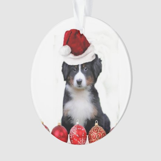 WeihnachtenBernese Gebirgshund Ornament (Vorderseite)