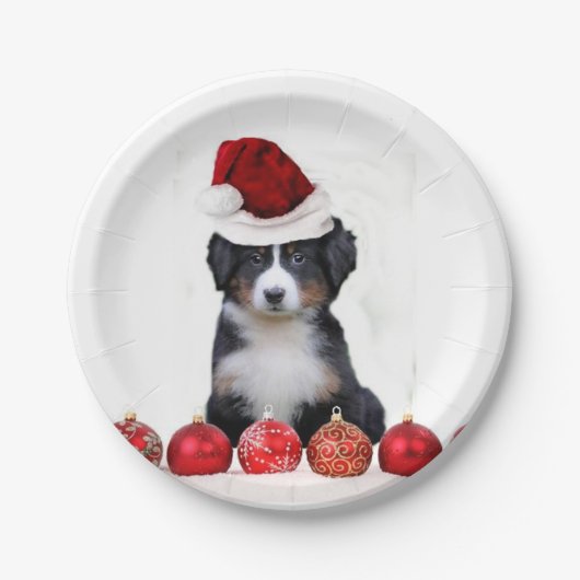 WeihnachtenBernese Gebirgshund Pappteller (Vorderseite)
