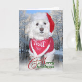 WeihnachtenBichon Frise Hund Feiertagskarte (Vorderseite)