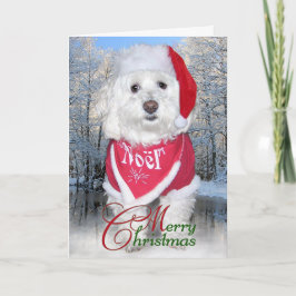 WeihnachtenBichon Frise Hund Feiertagskarte