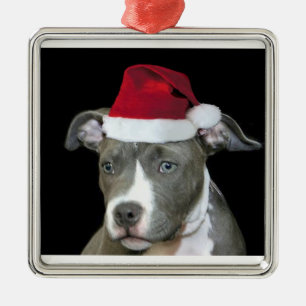 Weihnachtenblauer pitbull Welpe Silbernes Ornament