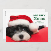 WeihnachtenHavanese Hündchen Feiertagskarte (Vorne/Hinten)