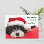 WeihnachtenHavanese Hündchen Feiertagskarte (Stehend Vorderseite)