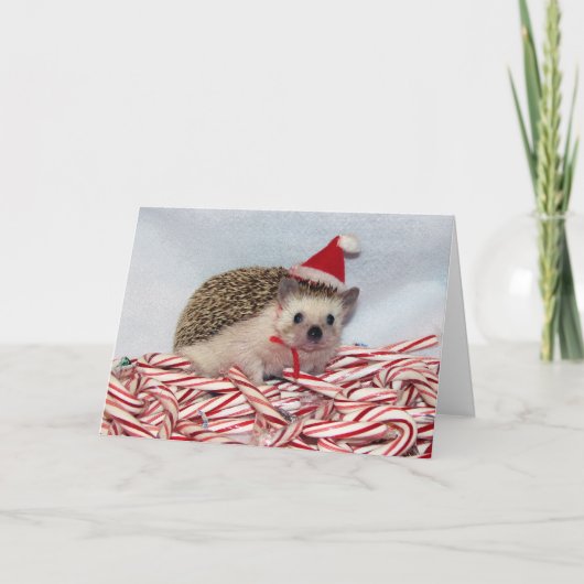 WeihnachtenHedgie Karte (Vorderseite)
