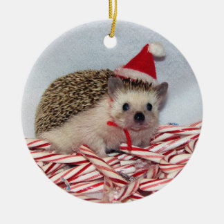 WeihnachtenHedgie Verzierung Keramikornament