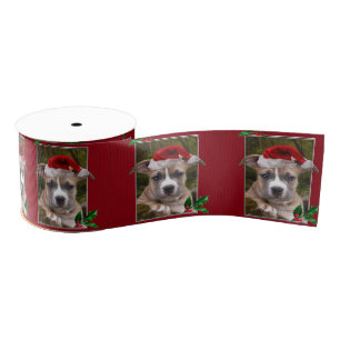 WeihnachtenPitbull Welpe 3" Grosgrainband Ripsband