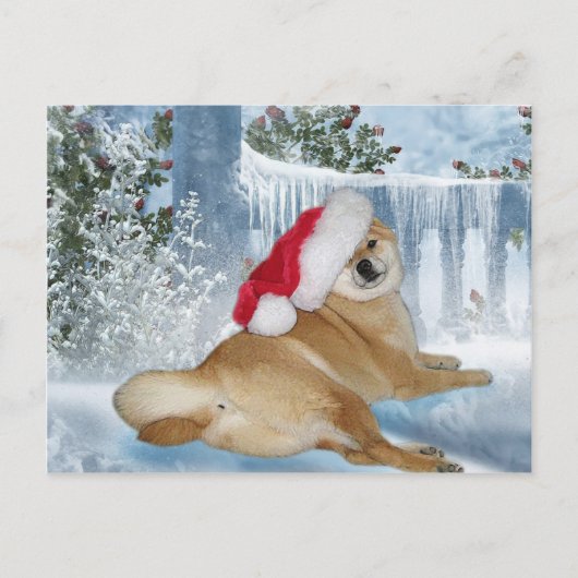 WeihnachtenShiba Inu Postkarte (Vorderseite)