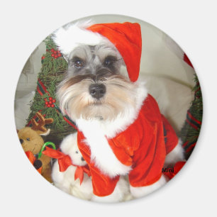 WeihnachtenX'Mas Zwergschnauzer Magnet
