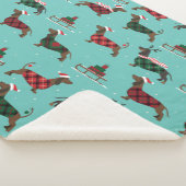Weihnachtliche Dackeln mit Sweater & Weihnachtsman Sherpadecke (3/4)