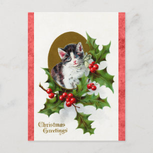 Weihnachtliche Grüße Süße Kätzchen Katze Postkarte