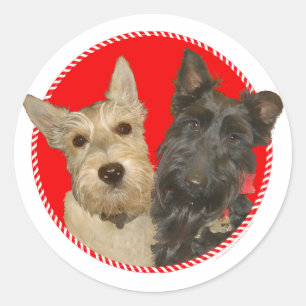 Weihnachtliche Weizenfarbene und Schwarze Scotties Runder Aufkleber