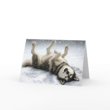 Weihnachtlicher Sibirischer Husky macht einen Schn