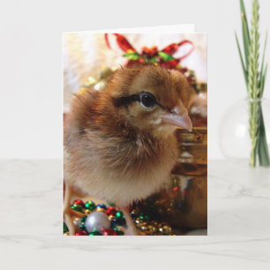 Weihnachtliches Christmas Küken  Feiertagskarte