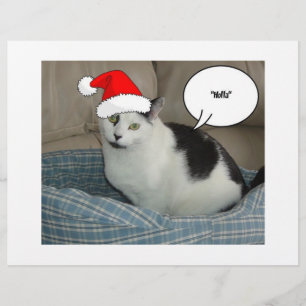 Weihnachtliches Schwarz-Weiß-Kätzchen Flyer