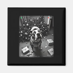 Weihnachts-Amerikaner Bulldog auf Kamera Magnet