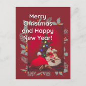 Weihnachts-Baby Sulcata Tortoise in rotem Hut Postkarte (Vorderseite)