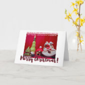 Weihnachts-Baby Sulcata Tortoise mit Santa Karte (Gelbe Blume)