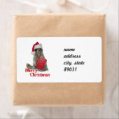 Weihnachts Bandit Raccoon mit Gegenwart (Insitu)