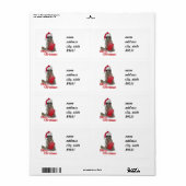 Weihnachts Bandit Raccoon mit Gegenwart (Vorne)