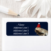 Weihnachts Bartete Dragon Lizard Rücksendeadresse (Insitu)