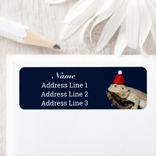 Weihnachts Bartete Dragon Lizard Rücksendeadresse (Insitu)