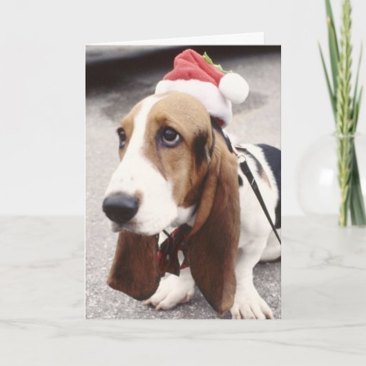 Weihnachts-Basset-Weihnachtsmannmütze-Grußkarte Feiertagskarte (Vorderseite)