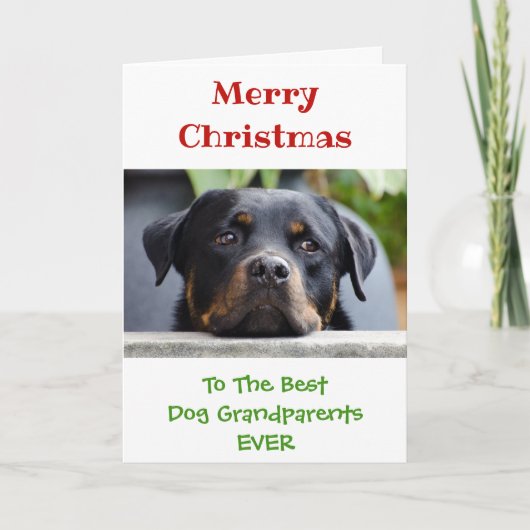 Weihnachts-Bester Hund Großeltern Foto Feiertagskarte (Vorderseite)