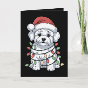 Weihnachts-Bichon-Frise-Hund-Santa-Hut-Xmas-Lichte Karte