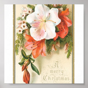 Weihnachts-Blume Poster