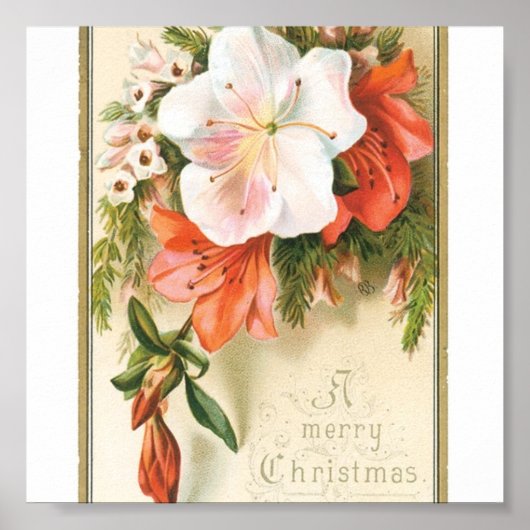 Weihnachts-Blume Poster (Vorne)