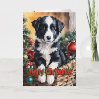 Weihnachts-Border-Collie-Welpe in einem Korb Feiertagskarte