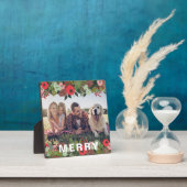 Weihnachts-Botanisches Foto vom Typ "Merina" Fotoplatte (InSitu)