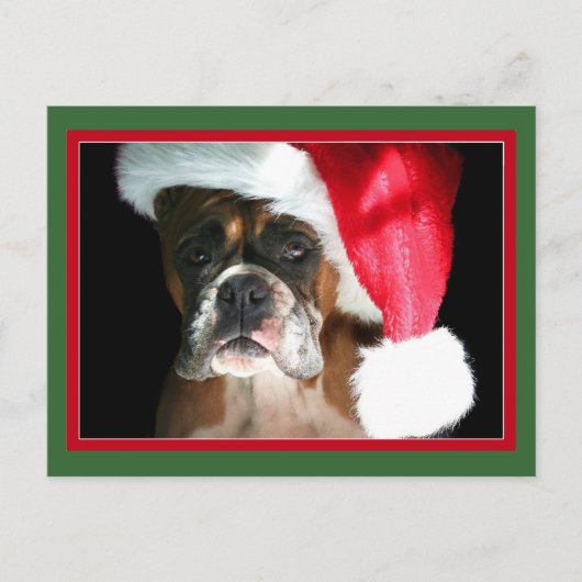 Weihnachts-Boxer-Hund-Postkarte Feiertagspostkarte (Vorderseite)