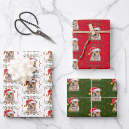 Weihnachts Bulldoggen Musterschachteln Geschenkpapier Set