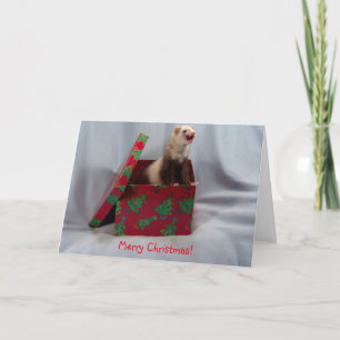 Weihnachts-Card-Ferret Feiertagskarte
